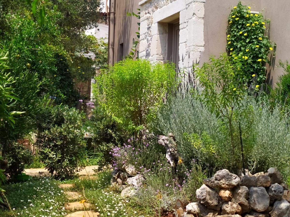 Olive Lemon Biophilic House & Lush Forest Garden 瓦莫斯 外观 照片