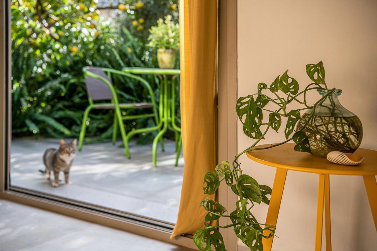 Olive Lemon Biophilic House & Lush Forest Garden 瓦莫斯 外观 照片