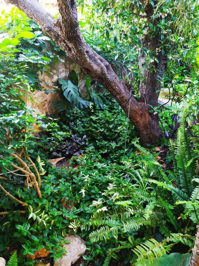 Olive Lemon Biophilic House & Lush Forest Garden 瓦莫斯 外观 照片