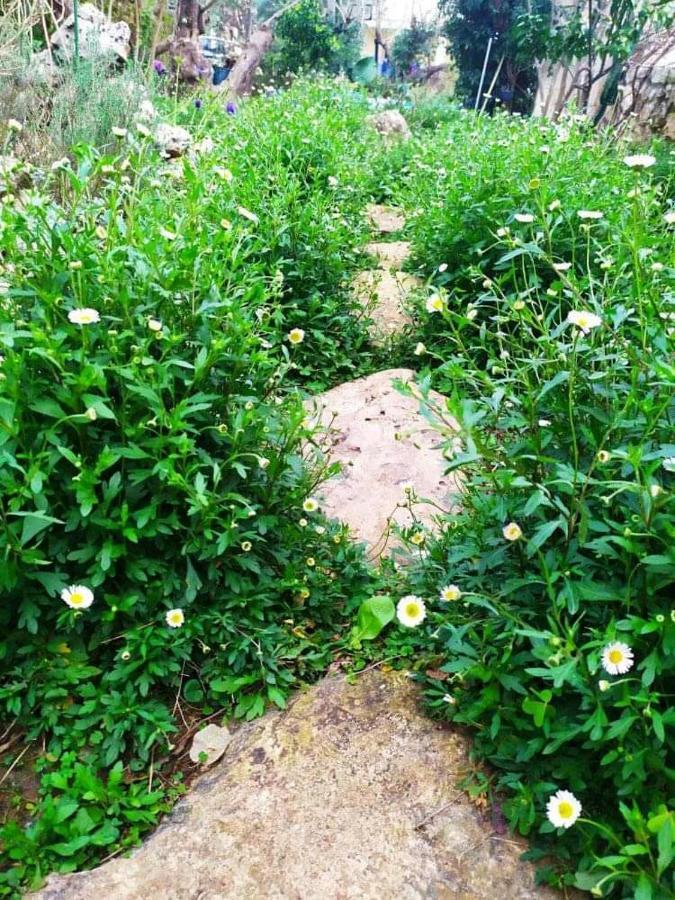 Olive Lemon Biophilic House & Lush Forest Garden 瓦莫斯 外观 照片