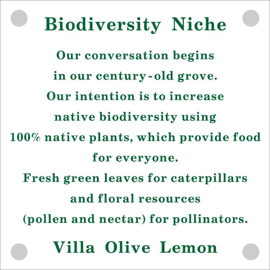 Olive Lemon Biophilic House & Lush Forest Garden 瓦莫斯 外观 照片