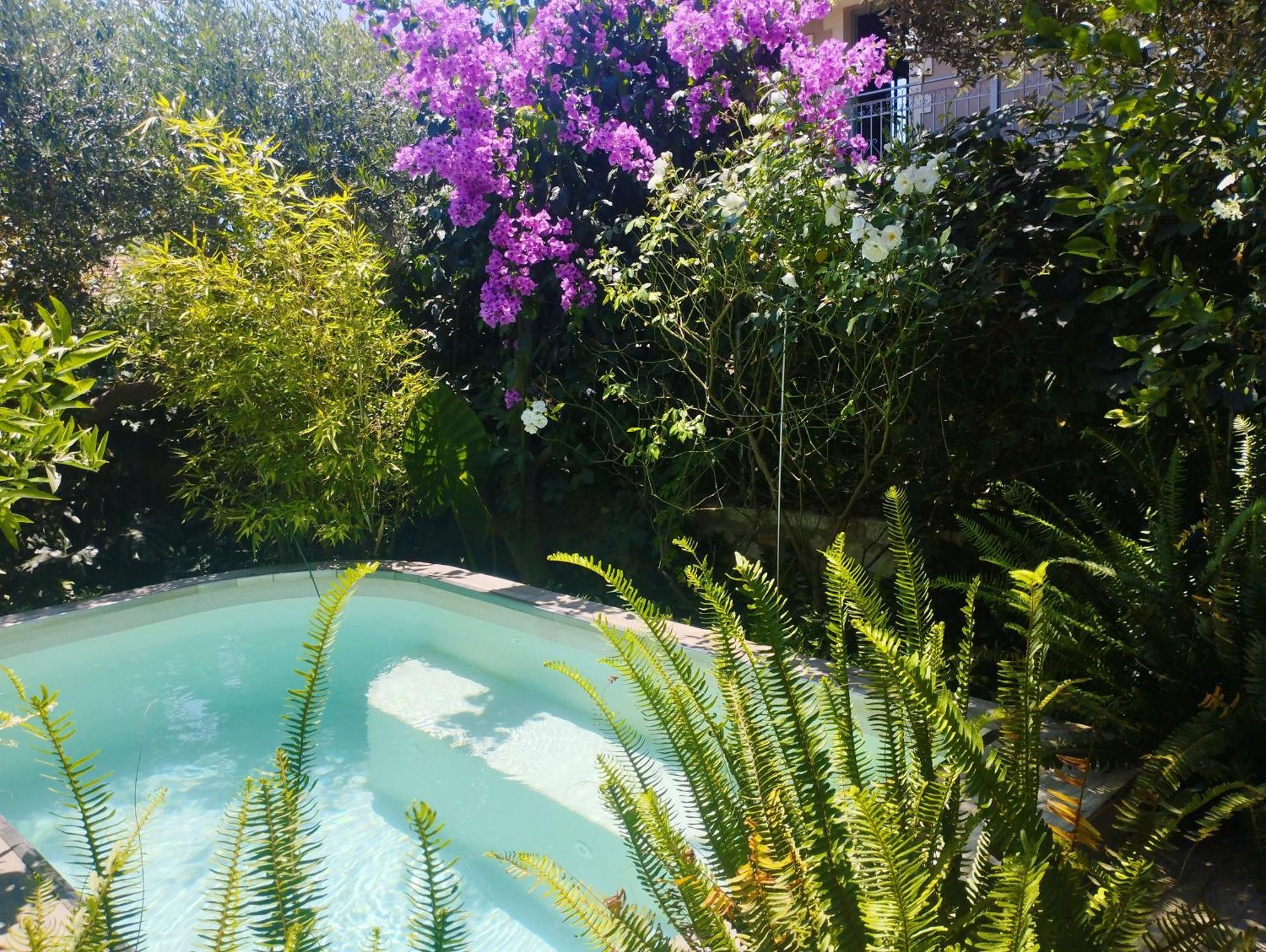 Olive Lemon Biophilic House & Lush Forest Garden 瓦莫斯 外观 照片