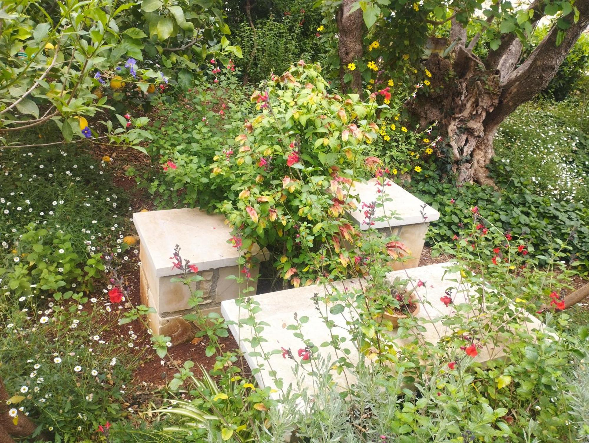 Olive Lemon Biophilic House & Lush Forest Garden 瓦莫斯 外观 照片