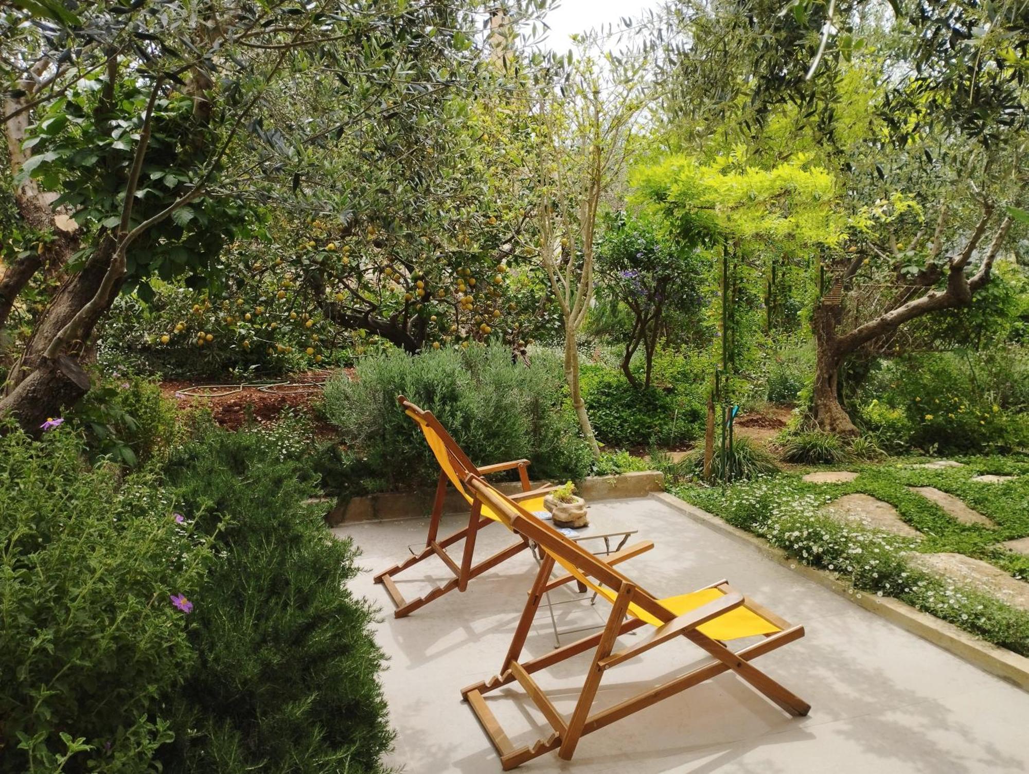 Olive Lemon Biophilic House & Lush Forest Garden 瓦莫斯 客房 照片