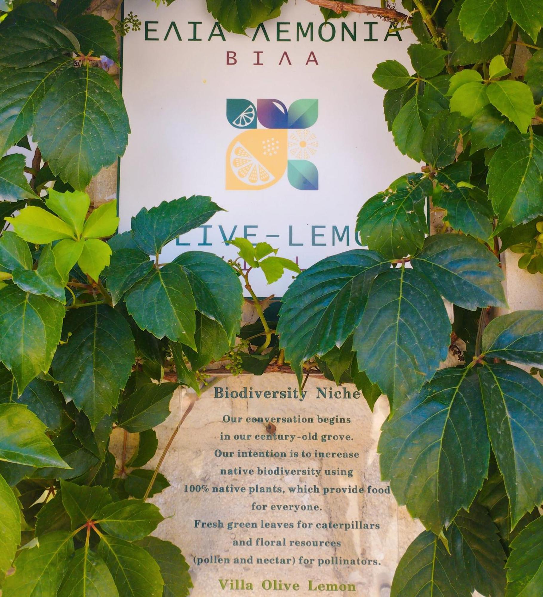 Olive Lemon Biophilic House & Lush Forest Garden 瓦莫斯 客房 照片